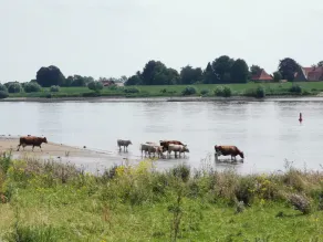 Renovated country house, stylishly furnished, located on the Elbe near the city  - Image 4