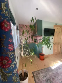 Cosy leafy cabin near city centre.  Free parking - Image 2