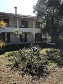 La Casa De Dalia - Image 3
