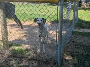 Texarkana KOA Journey - Image 2
