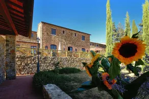 Apartment in Campiglia Marittima - Image 4