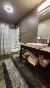 5-Acre Luxury Chalet Near Wisconsin Dells Indoor/Outdoor Spa Suite Putting Green - Image 4