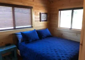 LIZARD CABIN - Image 5