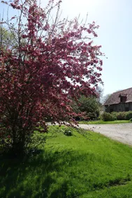 MER - På Farm - Hav, River & kæledyr ... - Image 4