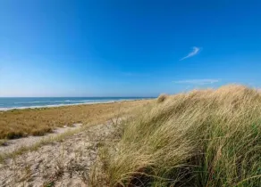 Apartment in Sint Maartenszee near beach - Image 5