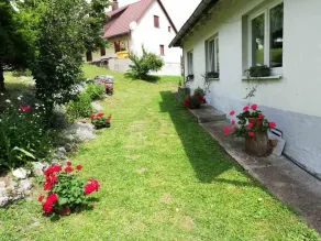 Zeleni brig - Image 2