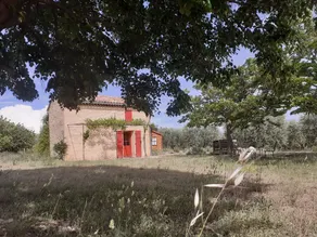 Eco-rustic cabin amid lavender and olive trees - Image 5
