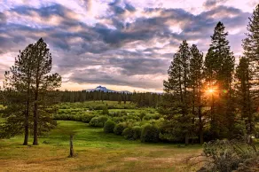 House on Metolius - Image 3