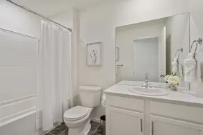 NEW! Cozy Colorado Living - 8 min from Old Town! - Image 4