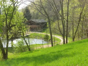 Cabin On The Lake Is Your Own Hideaway On A Private 10 Acre Lake - Image 5