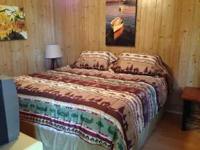 Catfish Cabin- cozy cabin near water in Texoma! Sleeps 4+ - Image 5