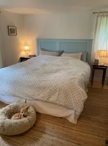 Lovely Waterfront Cottage, Dog friendly, 4 miles from Town and Ocean - Image 3