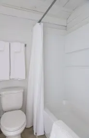 Palmetto Carriage House - open and airy studio apartment close to everything! - Image 3