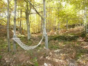 Bondgård i toskansk stil i skogen, med privat bubbelpool och pool - Image 5