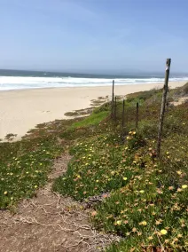 Ocean View på La Selva Beach / Manresa State Beach / Santa Cruz - Image 5