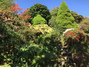 Secluded farmhouse – high on Dartmoor, with private access to the River Dart - Image 5