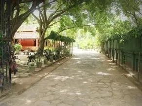Villa Sunshine Hotel - Image 4
