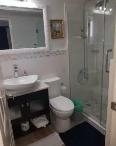Newly Renovated 2bed/2bath New Kingston Apartment Very cozy and Convenient - Image 2
