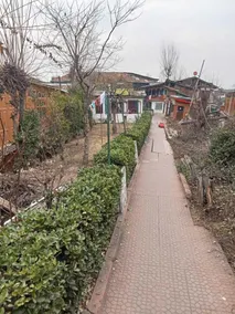 Hotel New Green View Ghulam - Image 4