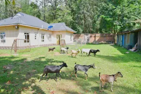 Bungalow mit üppigem Garten an der Autobahn - Image 5