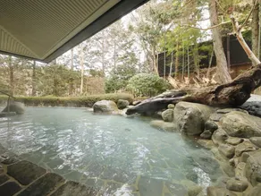 Hakone Hisui - Image 3