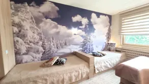 Apartmani Haski Konaci - Image 2
