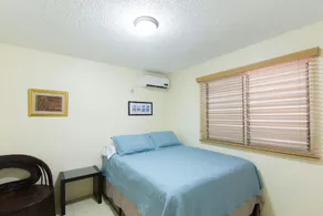 New Kingston Guest Apartment IV - Image 4