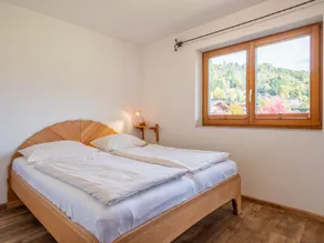 Beau logement pour groupes, 240m du téléski - Image 5