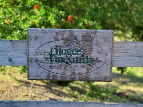 ✨Rustic Cabin i Dry Creek Valley med smuk udsigt // 5 miles til Plaza ✨ - Image 4