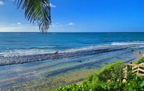 Strandfront - Kawela Kai Nani 495 - Licens # 90 / TVU-0003 - Image 5