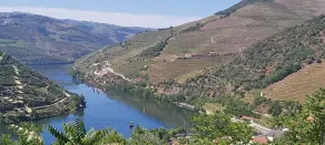 Typical house in the heart of the Douro - Image 4