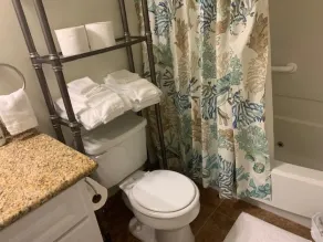 Freshly Updated 2 Bed/2 Bath  - Image 4