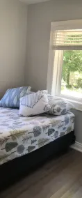 Peaceful Oasis welcomes everyone - Image 2