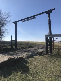 Cedar Ridge Farm - Rural Artist/Writer Retreat - Image 3