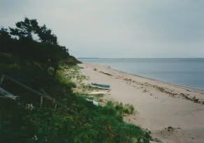 Beach Front Cottage, wärmstes Wasser nördlich der Carolinas - Image 5