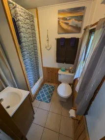 Woodland Retreat: A Rare Cabin by the Seaside  l Sleep 2 - Image 3