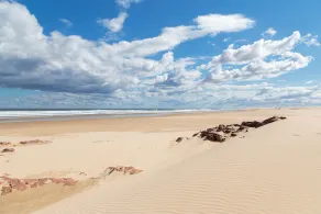 Birubi Beach Holiday Park - Image 3