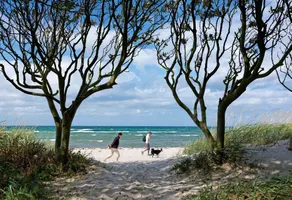 House LUV - 500 meters from the beach, you can hear the Baltic Sea waves here. - Image 5