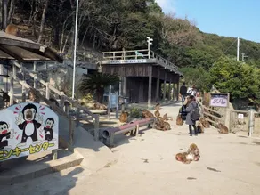 Awajishima Kaijo Hotel - Image 4