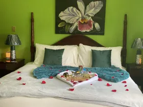 Off the beaten path private villa, w/AC, Jacuzzi, king beds - Image 5