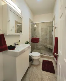 Historic Idaho Springs Home: Remodeled, Near Skiing, biking, gondola & bistros! - Image 2