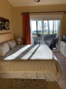 Beautiful1 bedroom located at Estrella del Mar private golf course w/ocean view! - Image 4