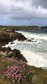 THE CONQUET sablons bianchi - Image 5