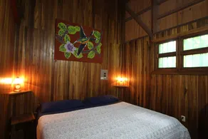 Cozy Caribbean Beachfront House (Pet & Kid Friendly) - Image 3