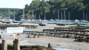 Lodging, classified 3 *** 15 km from the sea and coastal paths, Wifi - Image 3