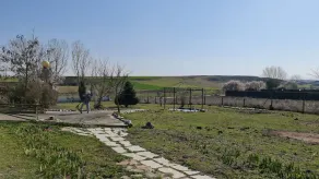Casa Rural con Finca Privada de 5000 Metros a 4 km de Salamanca - Image 5