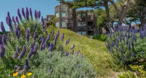 Pajaro Dunes Resort: 1 Bedroom Ocean Front Getaway! - Image 5