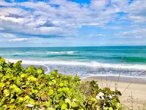 Melbourne Beach oceanfront paradise unit B  Look for last minute special deals - Image 5