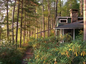 Signature Cabin 3 with Lake View - Image 4