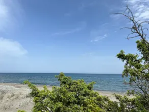 Charming, fully equipped ground-floor apartment in a villa, within walking distance of the beach, in a peaceful natural setting - Image 4